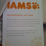 IAMS 2.jpg