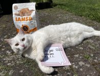 IAMS Advanced Nutrition Cat Adult mit Huhn_WOM Test Oh of the day_Subcom Solutions GmbH.jpg