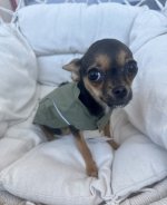 IMG_0712.jpeg
