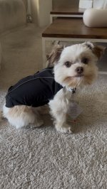 IMG_5374.jpeg