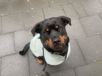 IMG_1160.jpeg