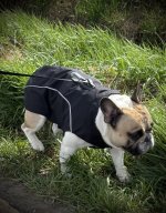 IMG_3303.jpeg