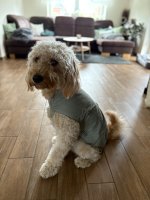 IMG_7898.jpeg