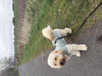 IMG_8025.jpeg