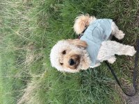 IMG_8027.jpeg