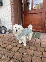 IMG_6491.jpeg