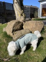 IMG_4947.jpeg