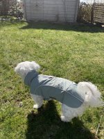 IMG_4949.jpeg